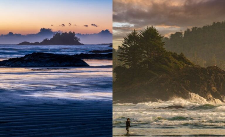 4 Best Place To Stay In Tofino, British Columbia