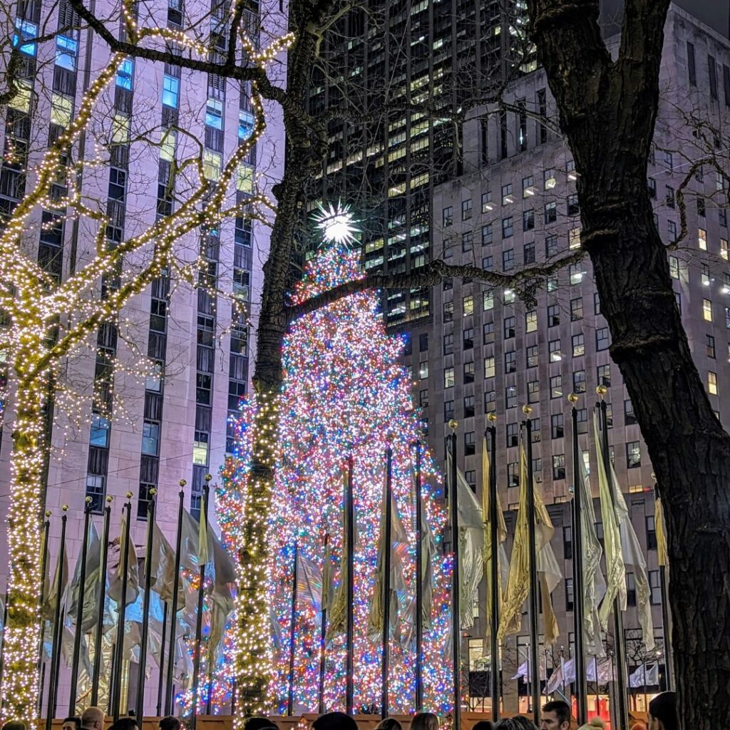 Christmas In Newyork