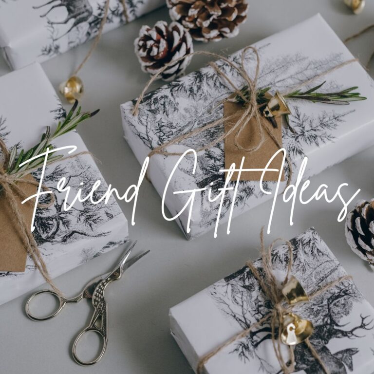 Friend Gift Ideas