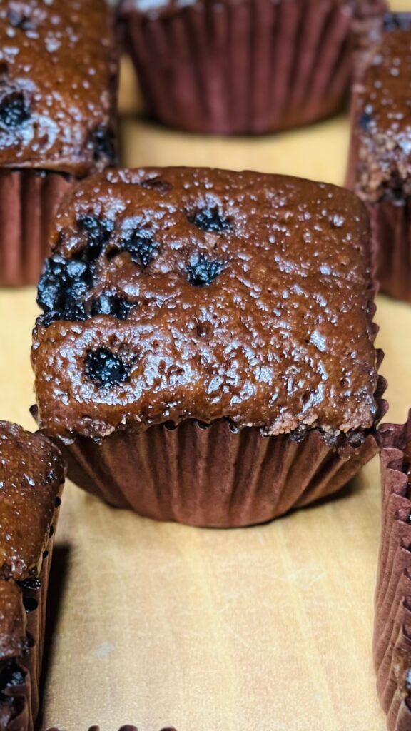 Moist Choco Chip Muffin