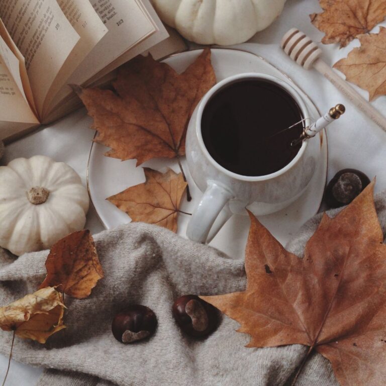 Things To Do This November